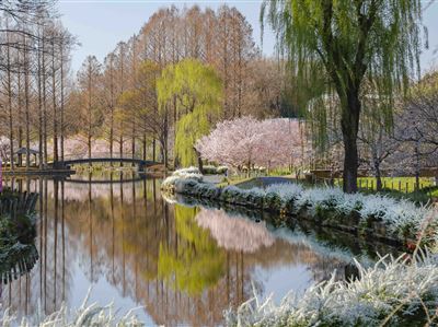 上尾市観光協会 イベント まつり