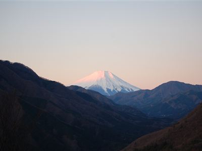 道志村役場観光情報サイト