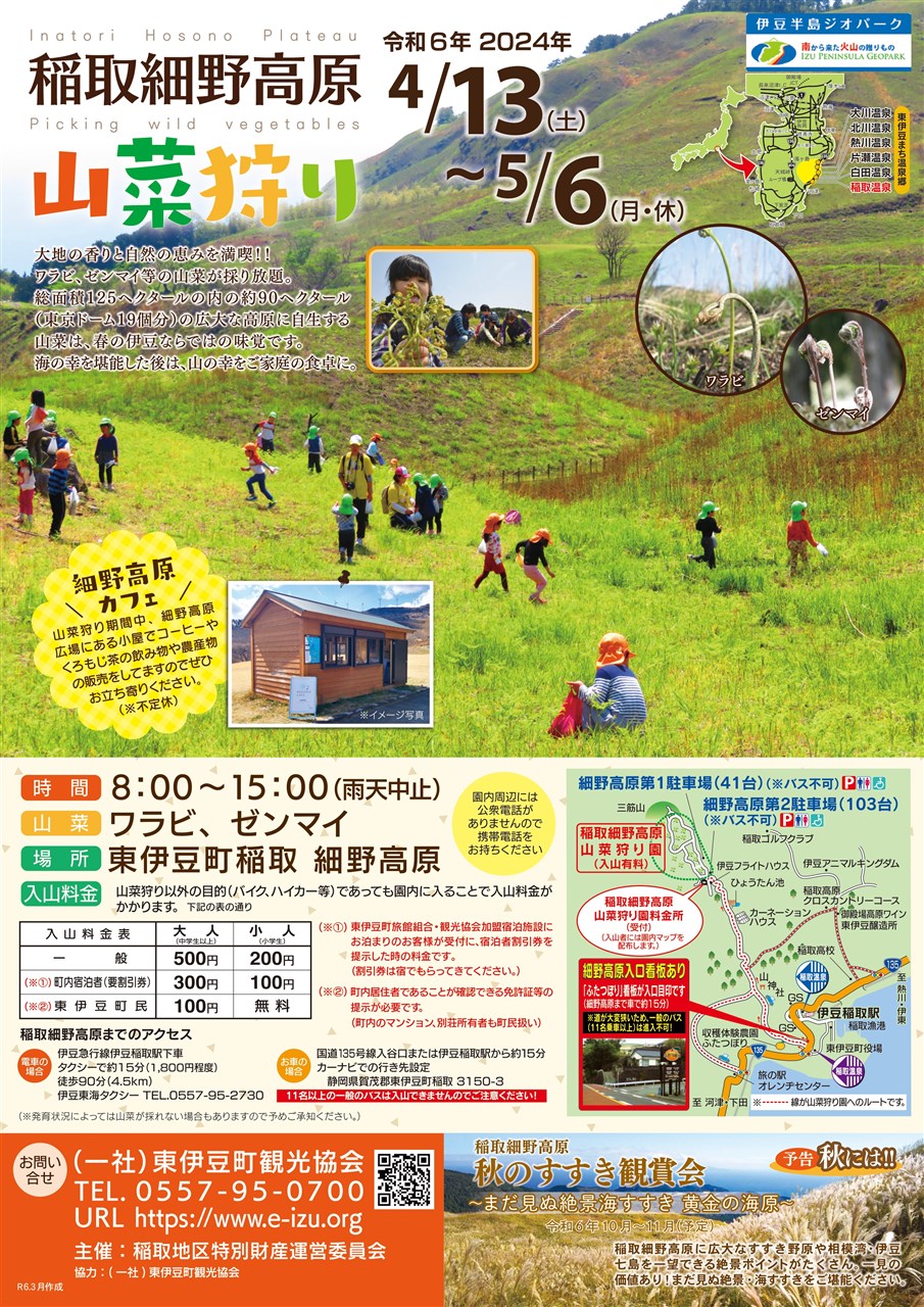 OLお花見足露出 稲取細野高原 春の山菜狩り園2024 | （一社）東伊豆町観光協会