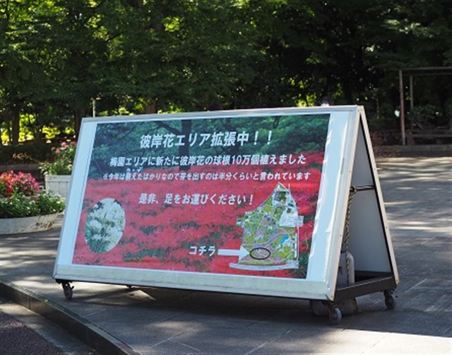 スタッフ通信一覧 府中観光協会