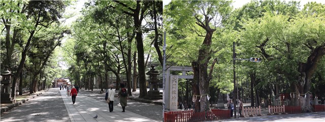府中市ロケ地マップを作成しました | 府中観光協会