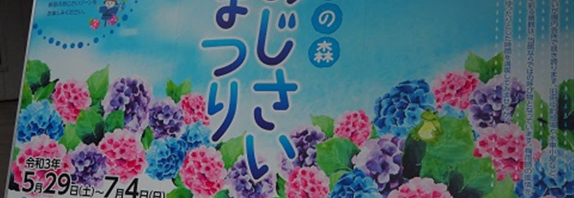 郷土の森のあじさいまつり | 府中観光協会