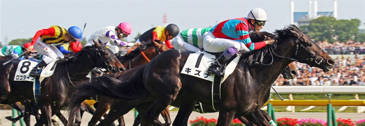 Jra東京競馬場 府中観光協会