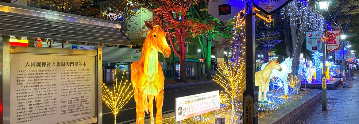 府中けやき並木イルミネーション | 府中観光協会