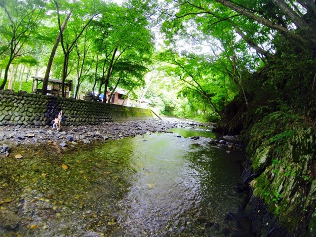 発見うえのはら 平野田休養村キャンプ場