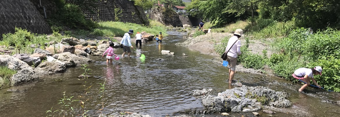 夏 募集終了 飯能市エコツーリズム 関東 埼玉 エコツアー