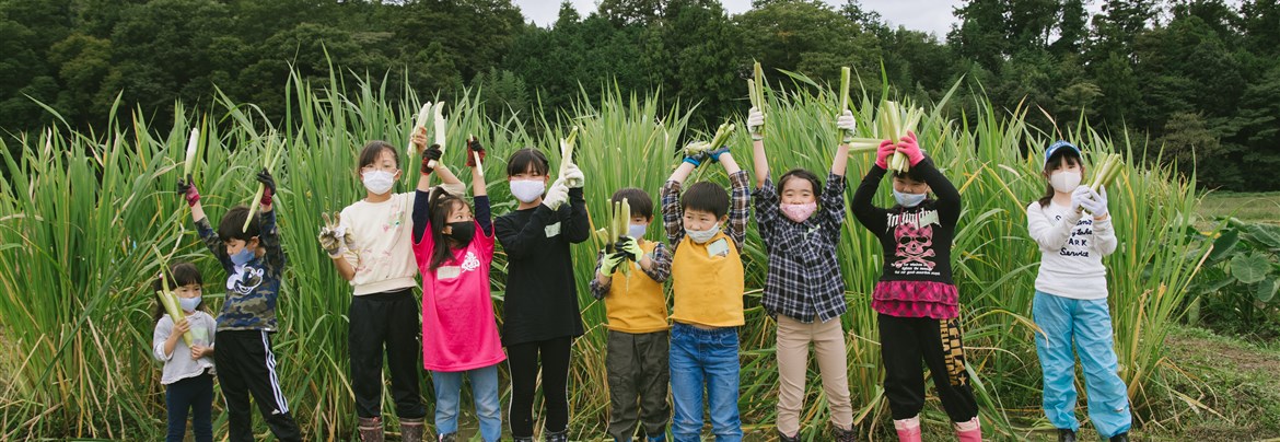 2020-10-11 キッズガイドがご案内！田んぼの風に吹かれて～稲刈り＆マコモダケ狩り～ | 飯能市エコツーリズム｜関東・埼玉・エコツアー