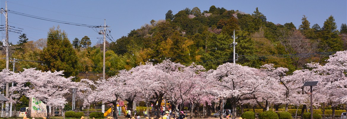 飯能中央公園 はんのう いい塩梅 奥むさし飯能観光協会
