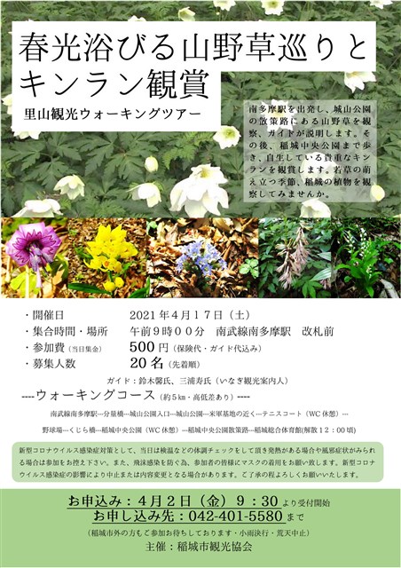 受付終了 大塚牧場の河津桜と平尾の歴史散策 観光ウォーキングツアー 稲城市観光協会