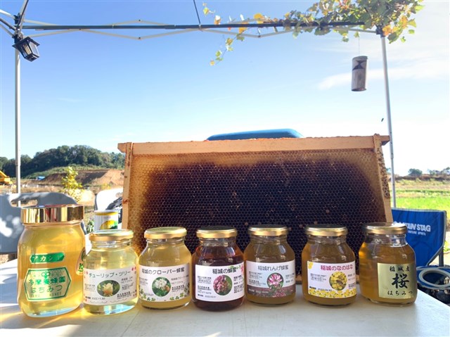 ◇美肌への近道！食べる美容液🍯【多摩養蜂園】 | 稲城市観光協会