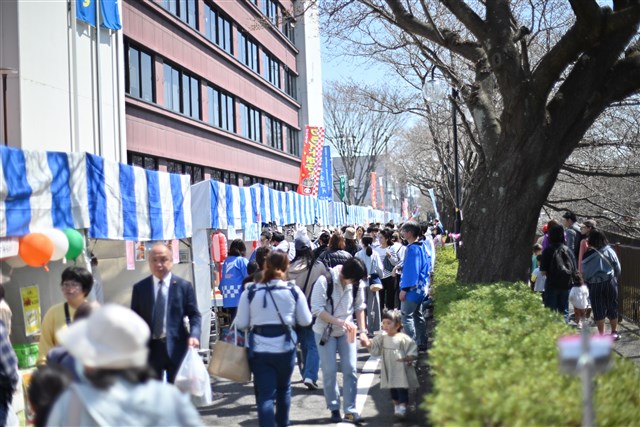 ○3/30(土)、3/31(日)に「第14回三沢川 桜・梨の花まつり」を開催いたしました！ | 稲城市観光協会