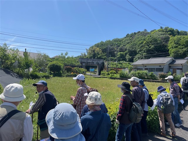 ○「稲城の原風景と新緑の山野草巡り」ウォーキングツアーを実施しました！ | 稲城市観光協会