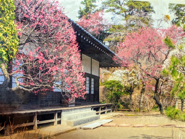 奚疑塾跡地 | 稲城市観光協会