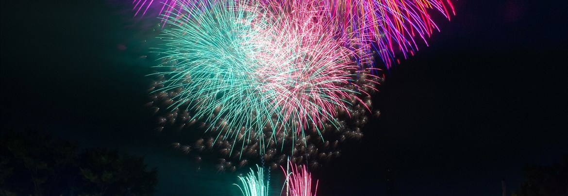 ゆり(Augustの花火！)ピンク色＆グリーン！ ニチニチソウ：夏花火