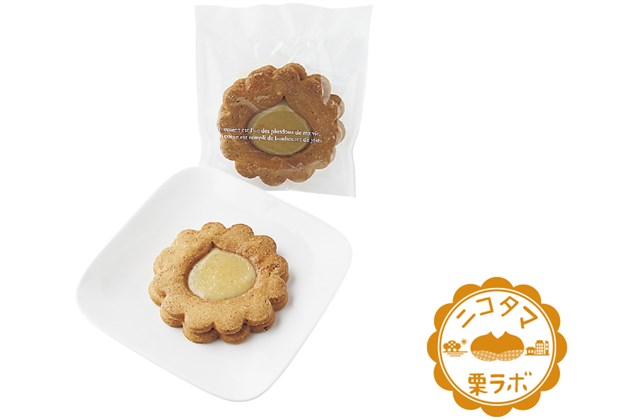 直営店に限定 玉川桜 たぬきの小物入れ 世田谷 | （世田谷みやげ商品一覧 彫刻・オブジェ