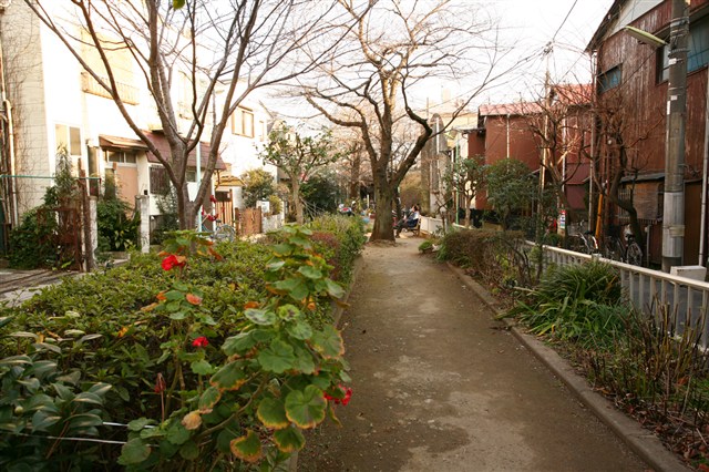 九品仏川緑道 | 世田谷まちなか観光 エンジョイ! SETAGAYA