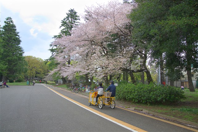 緑広がる駒沢公園で深呼吸 世田谷まちなか観光 エンジョイ Setagaya