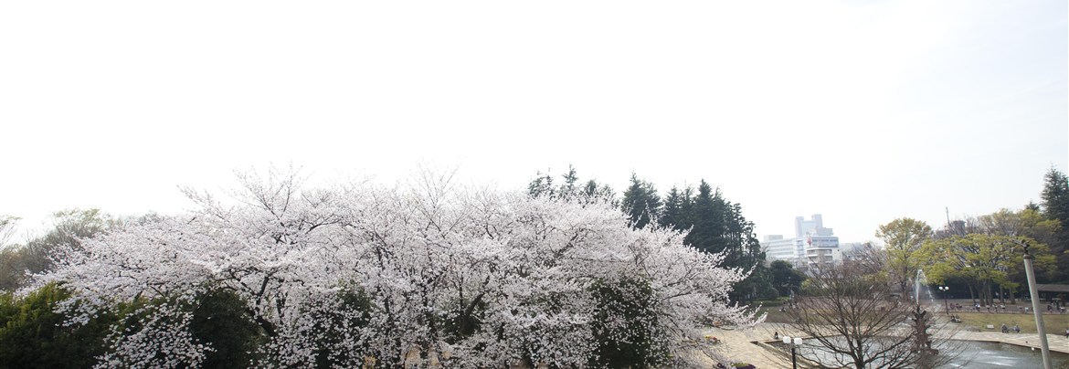 世田谷公園 世田谷まちなか観光 エンジョイ Setagaya