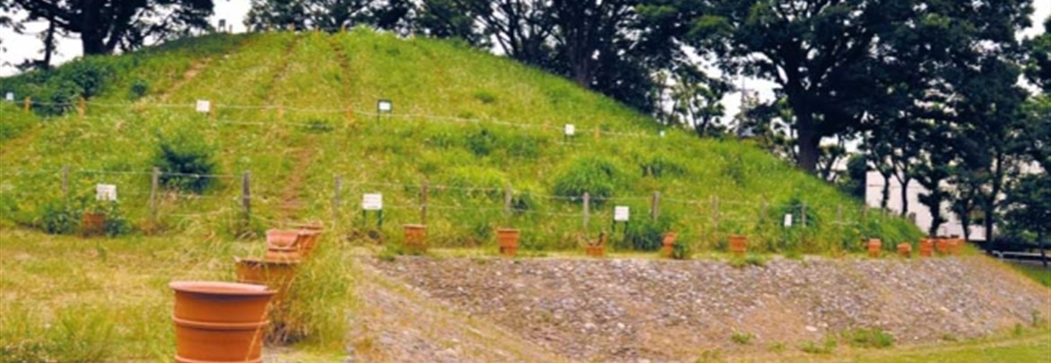 野毛大塚古墳ー東京都世田谷区野毛1丁目所在の古墳保存整備・発掘調査記録ー 東京都】野毛大塚古墳 東京都世田谷区野毛1丁目所在の古墳保存