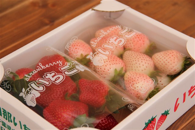 お値下げ！リトグラフ 「木苺」 NATSUMI ICHIGO 女峰 約600g以上（2026年1月～6月配送）| いちご