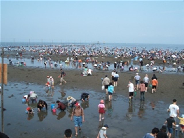 潮干狩り | 木更津市観光協会