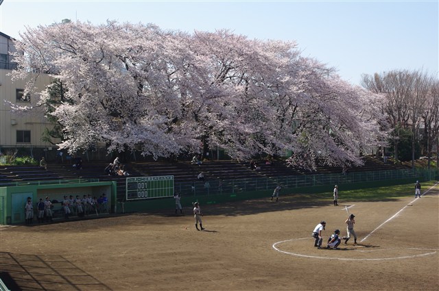 町田中央公園 サン町田旭体育館 町田市観光ガイド