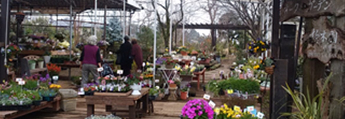 オークガーデン 柏木園 町田市観光ガイド