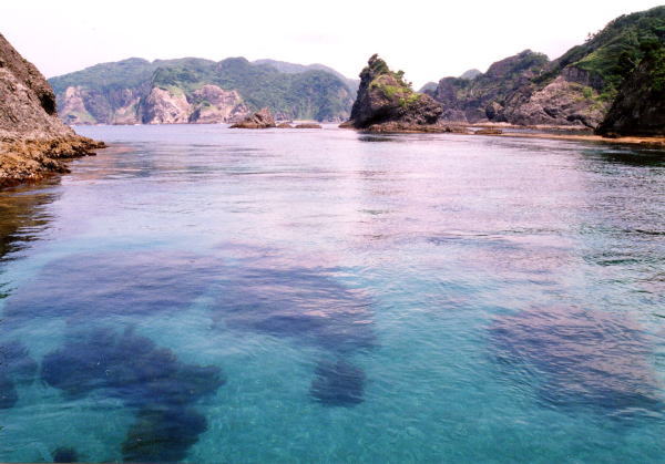 日帰り ヒリゾ浜海水浴ツアー 南伊豆町観光協会 Minami Izu Tourism Association