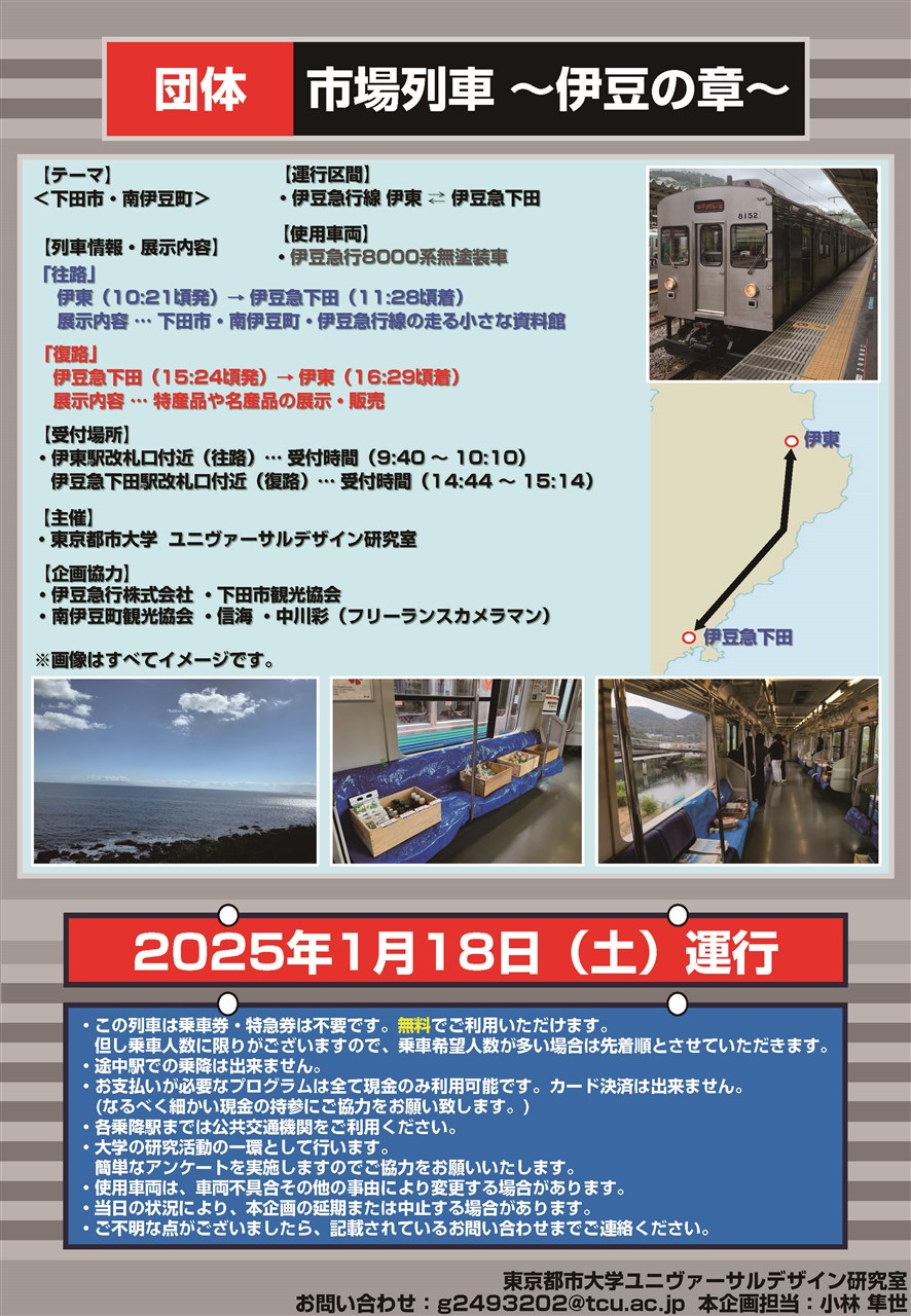 ウミガメについて | 南伊豆町観光協会（Minami-izu Tourism Association）