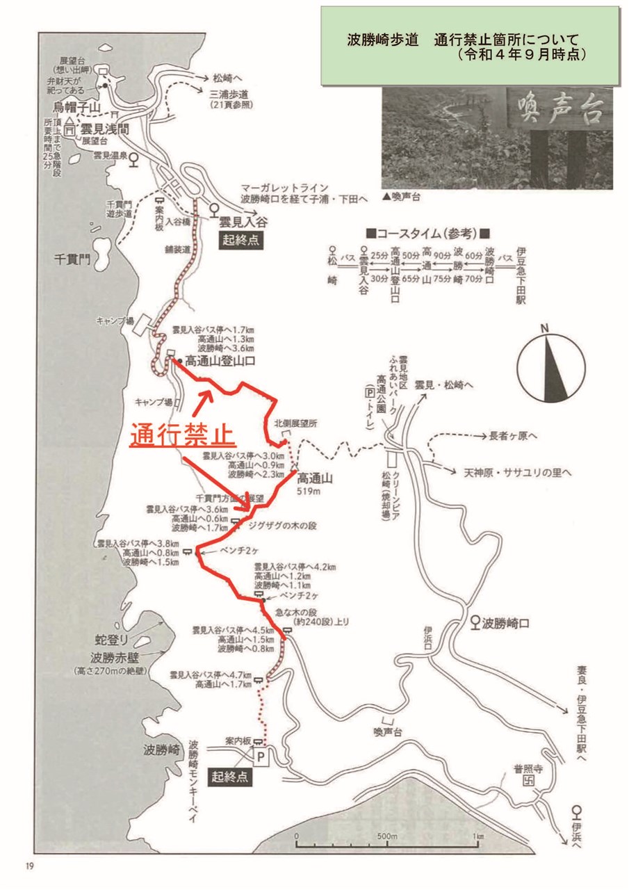 台風7号によるヒリゾ浜海水浴ツアーの催行について | 南伊豆町観光協会（Minami-izu Tourism Association）