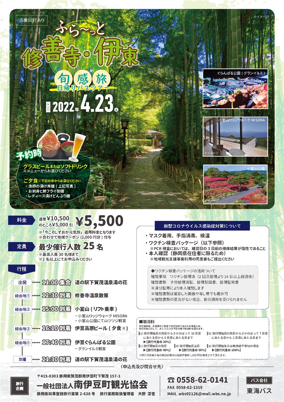 南伊豆ジオツアー2021-22 | 南伊豆町観光協会（Minami-izu Tourism Association）