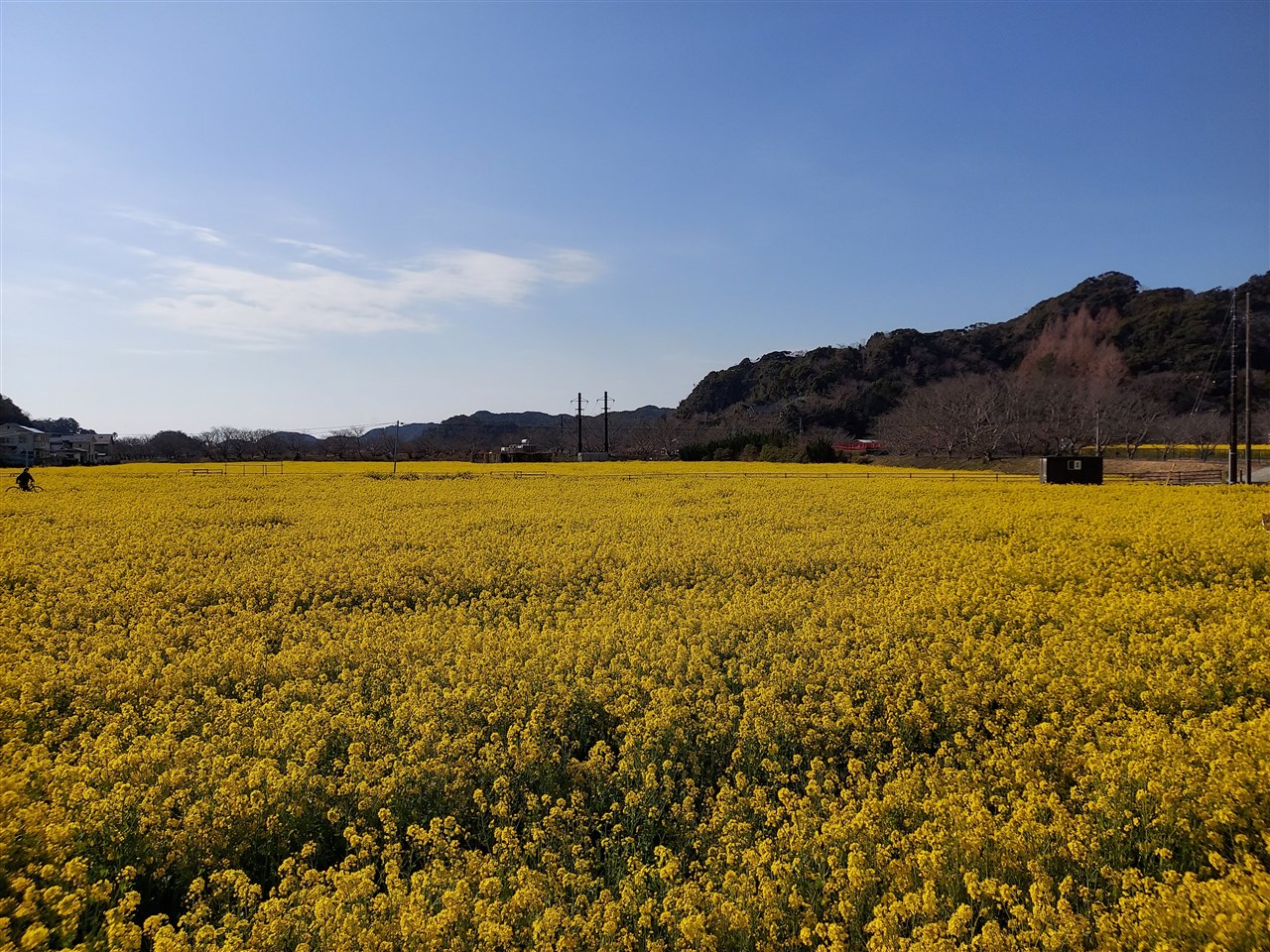 南伊豆町観光協会 Minami Izu Tourism Association