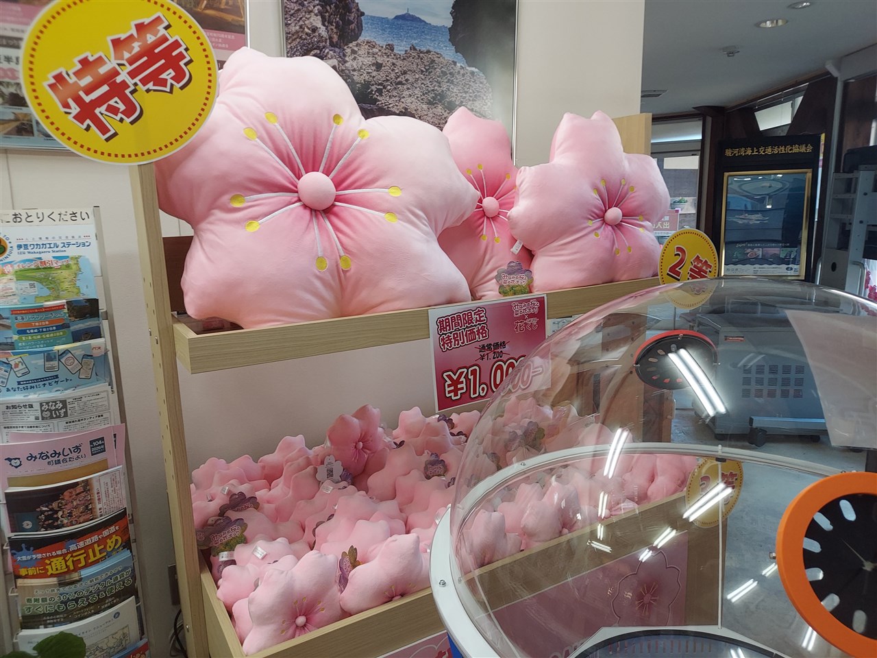 南伊豆ジオツアー2025-26 | 南伊豆町観光協会（Minami-izu Tourism