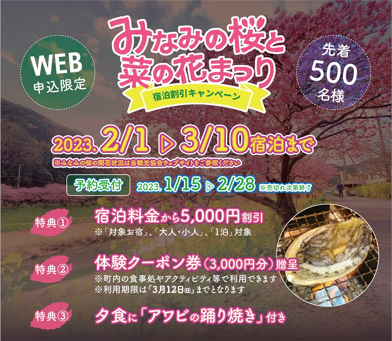 第26回みなみの桜と菜の花まつり（予定） | 南伊豆町観光協会（Minami