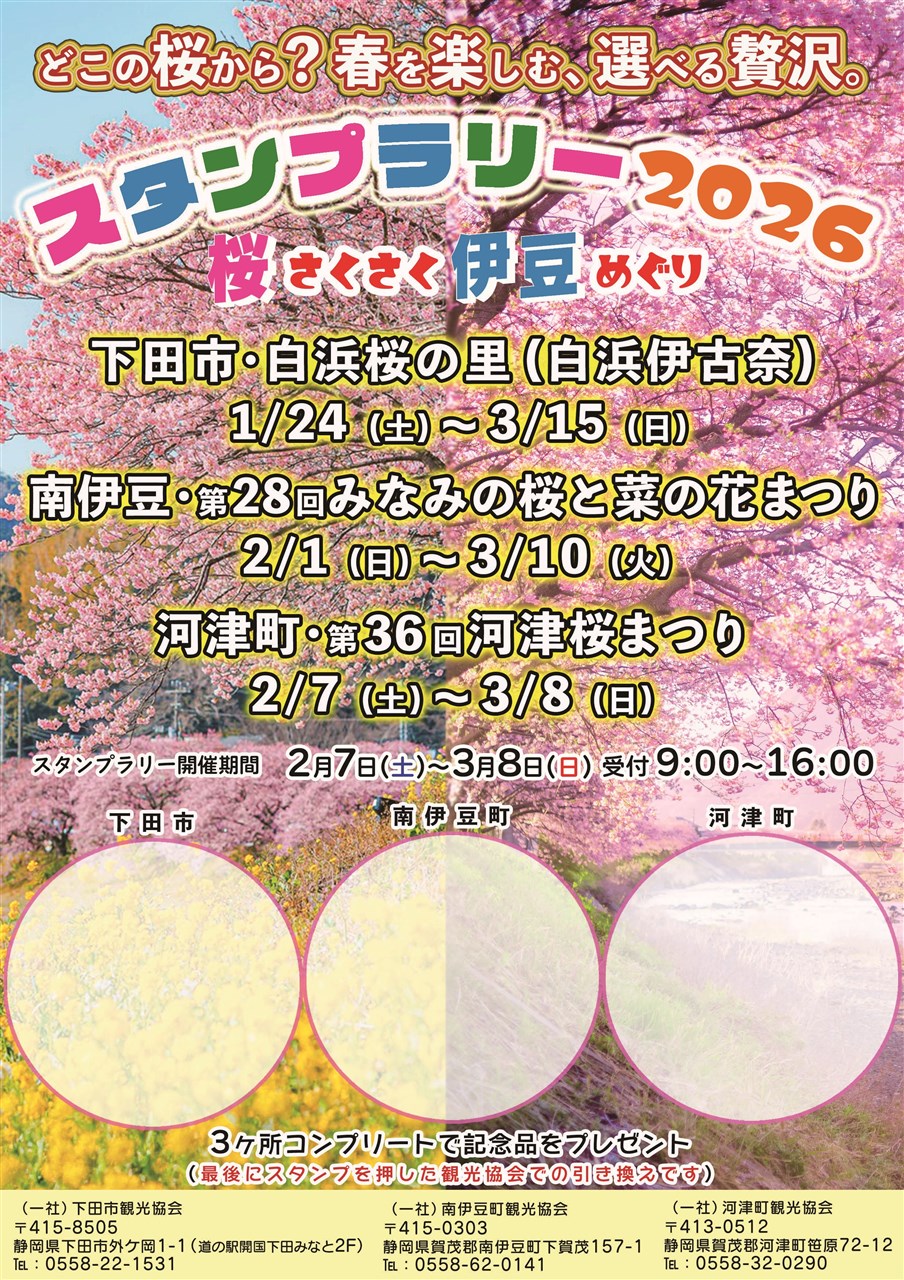 南伊豆ジオツアー2025-26 | 南伊豆町観光協会（Minami-izu Tourism