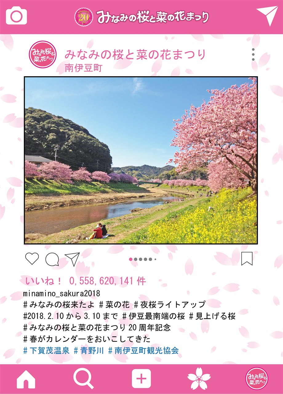 ファミリーで楽しむ！「みなみの桜と菜の花まつり」 知る人ぞ知る伊豆観光情報！『伊豆ぶら 街歩き』