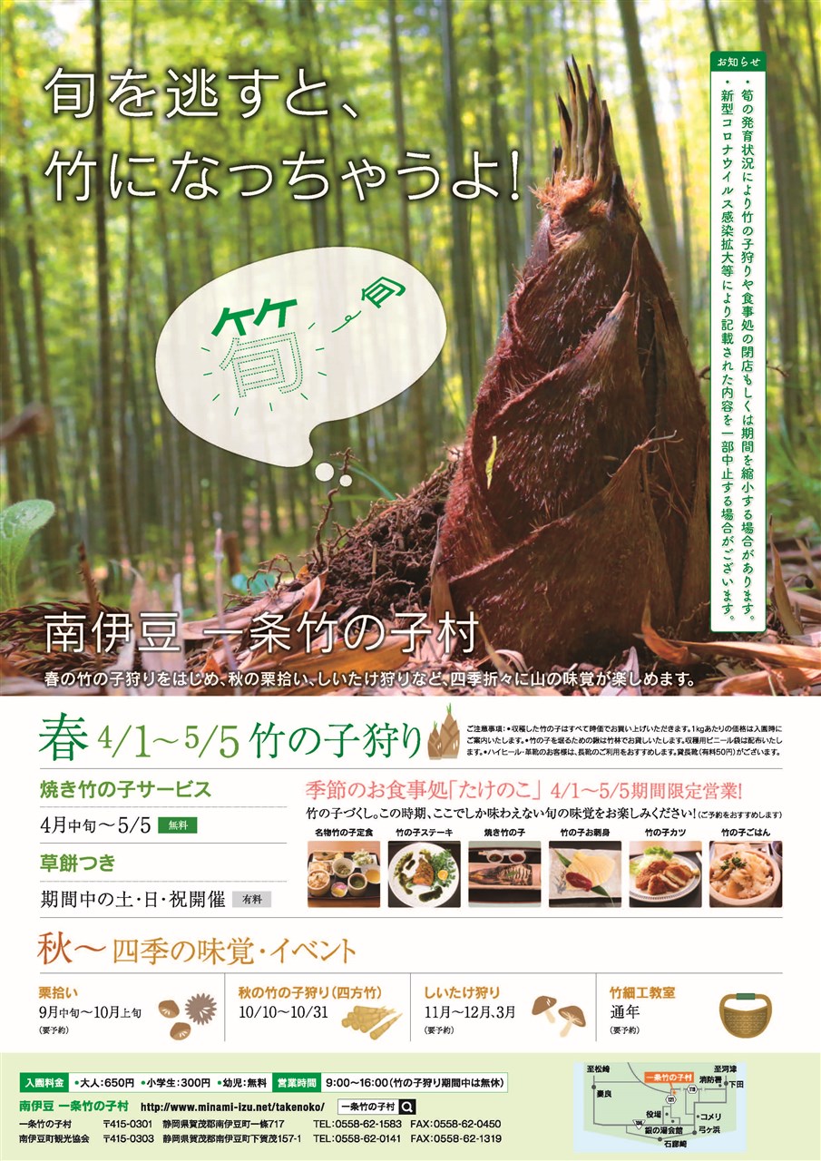 竹の子狩り | 南伊豆町観光協会（Minami-izu Tourism Association）