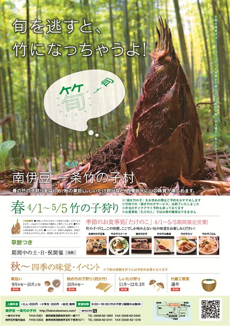竹の子狩り | 南伊豆町観光協会（Minami-izu Tourism Association）