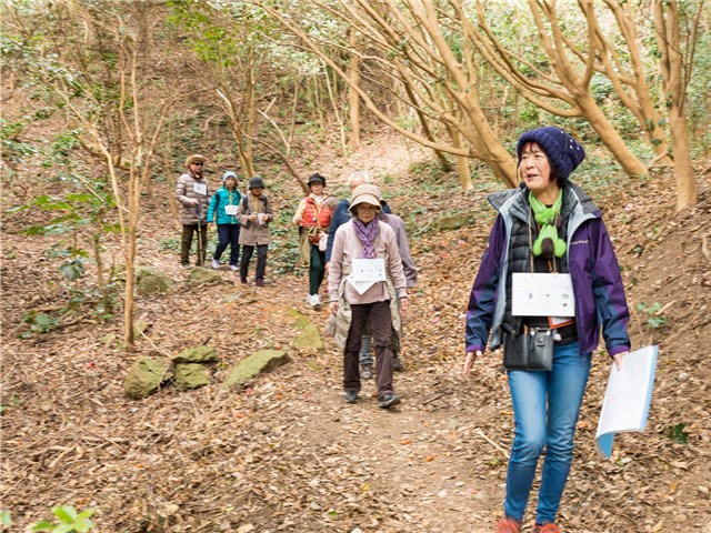 南伊豆町観光協会（Minami-izu Tourism Association）