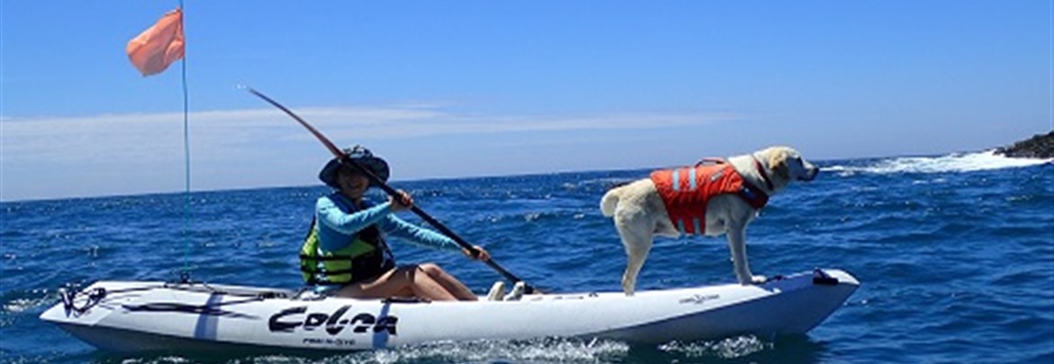 ちょいわる爺さん専用 ちょいわる爺さん専用 ピーナッツさん専用 かわいらし