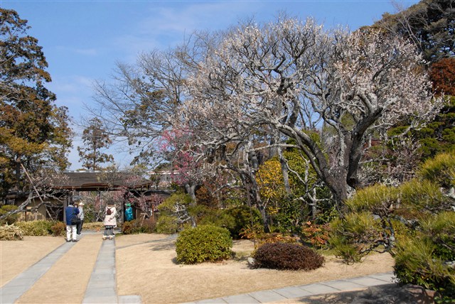 旧吉田茂邸（庭園・邸宅） | 大磯町観光協会オフィシャルサイト