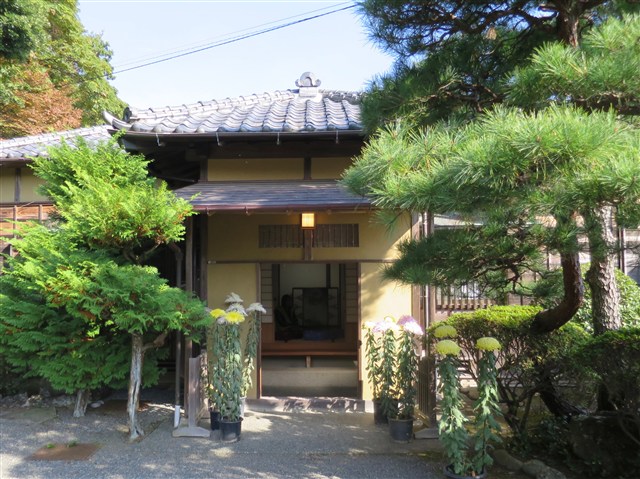 11月18日、旧安田善次郎邸の4畳半の光豊かなお茶室で、大磯茶道協会の先生方に席主となっていただき、お茶の経験のない方も申し込みできる、お点前を楽しむ会が今年も