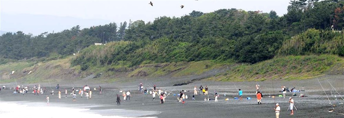 第73回大磯白キス投釣大会を開催 | 大磯町観光協会オフィシャルサイト