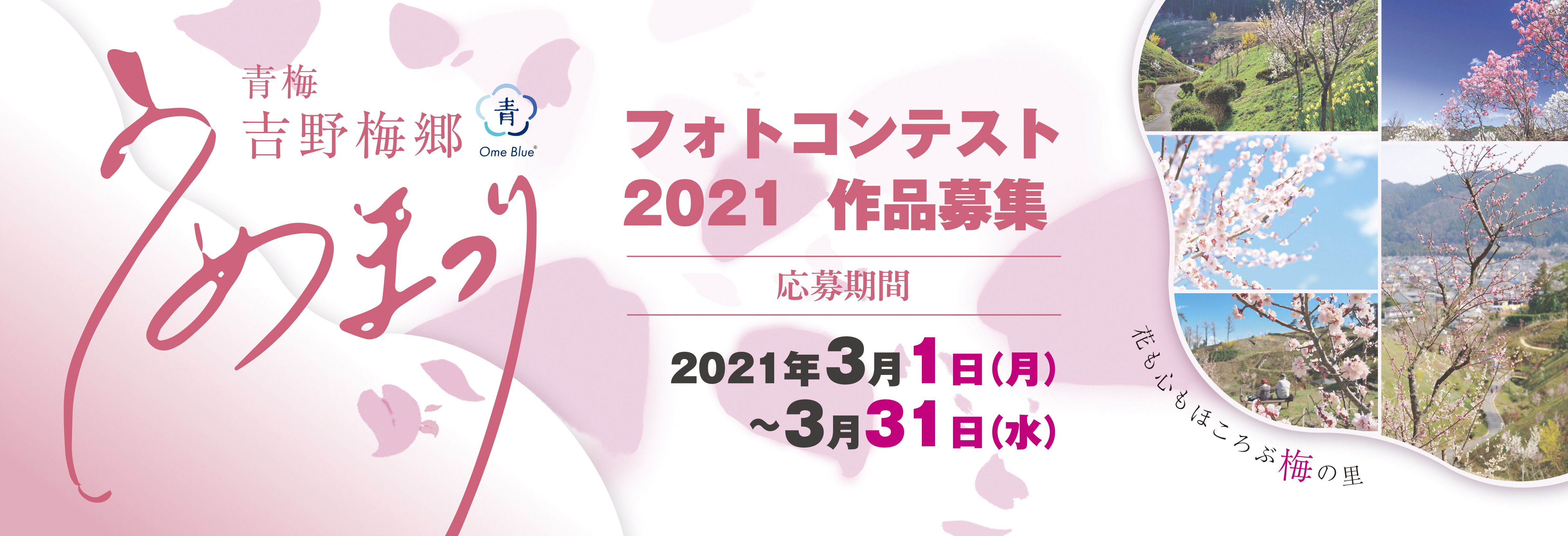 青梅市フォトコンテスト