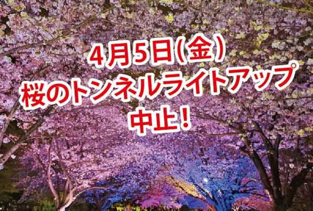 ライトアップ中止！】4月5日ライトアップは雨のため中止となります  