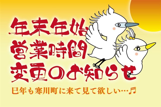 即日郵送 美品 ゆったりひととき IRyS （めざましテレビ 『実力 