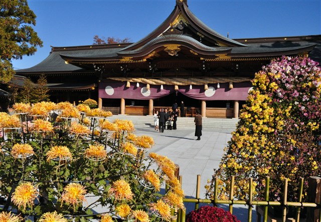 若林景光向日葵油絵