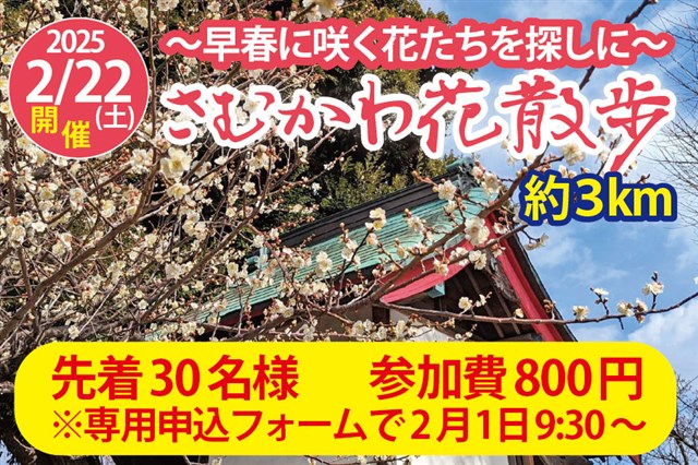 日本人気超絶の 22 是好鉢展春の第ニ発売 （新着情報 寒川町観光 一般社団法人 | 盆栽