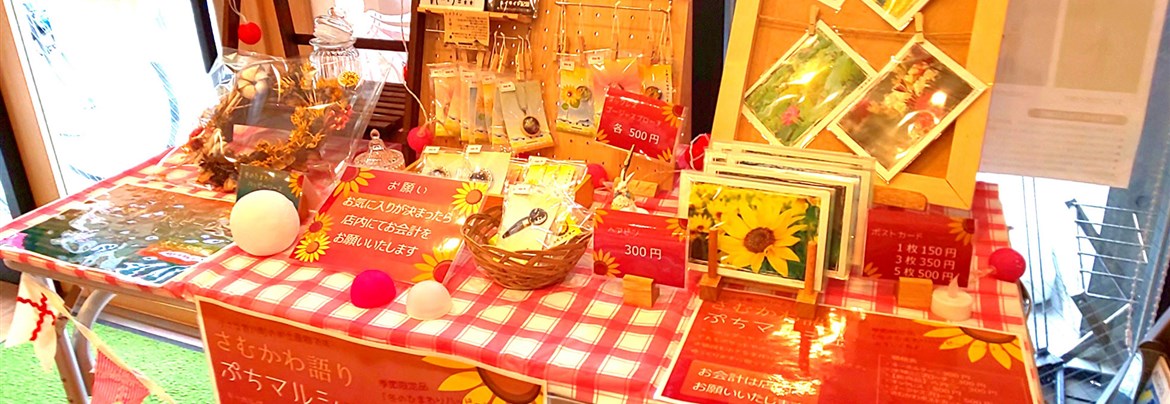 シーグラスアート （someday my prince will come） シーグラスアート」のアイデア 140 件2025 | シーグラスアート