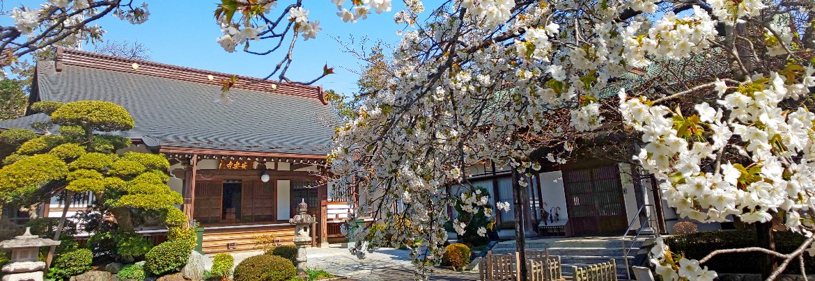 安楽寺（あんらくじ） | 一般社団法人 寒川町観光協会